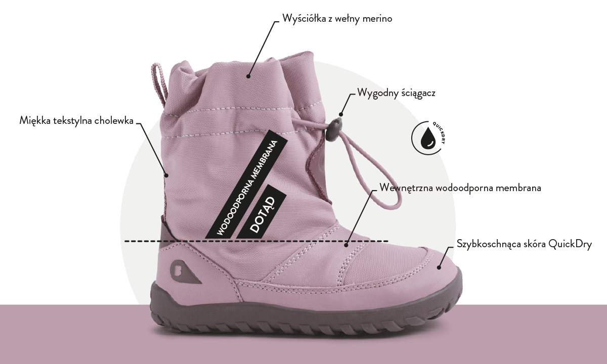 Alpha Paden Arctic Lilas